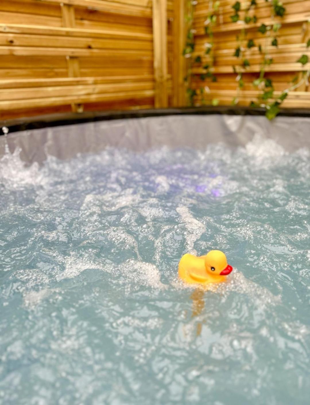 Studio Le Moutik Du Bord De Mer Avec Spa Parking Gratuit Lampaul-Plouarzel Zewnętrze zdjęcie